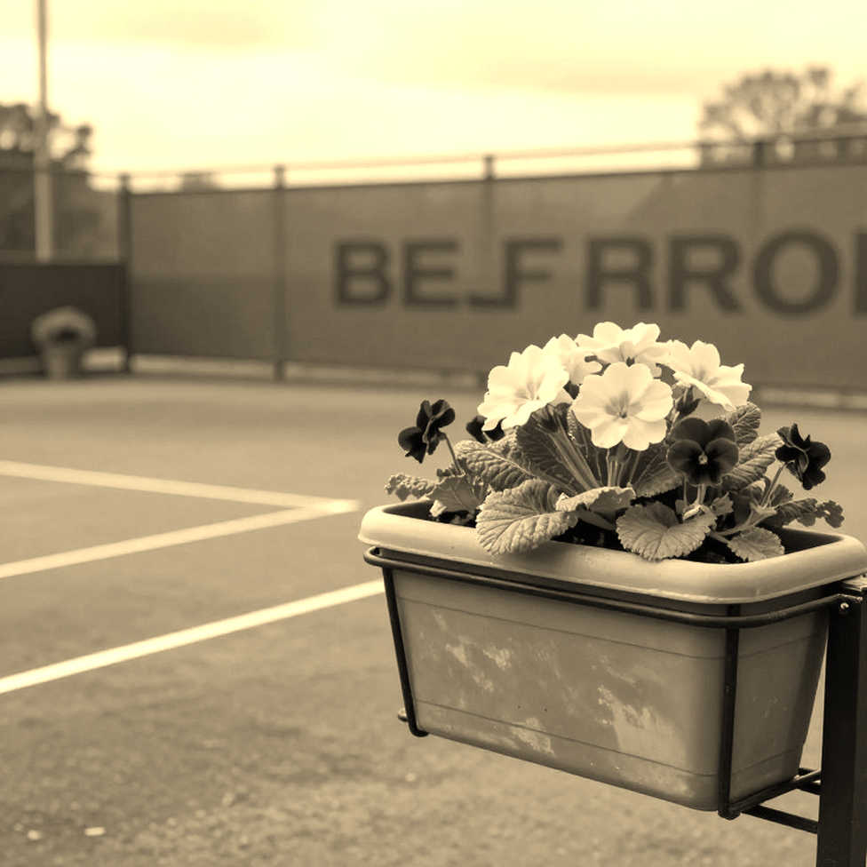 56 phút ở Brisbane: De Minaur mở màn cho Australia bằng một set không tì vết